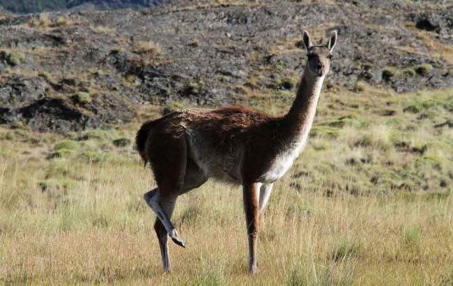 Chilean Patagonia