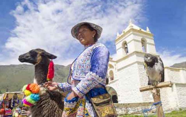 Arequipa: Colca Canyon