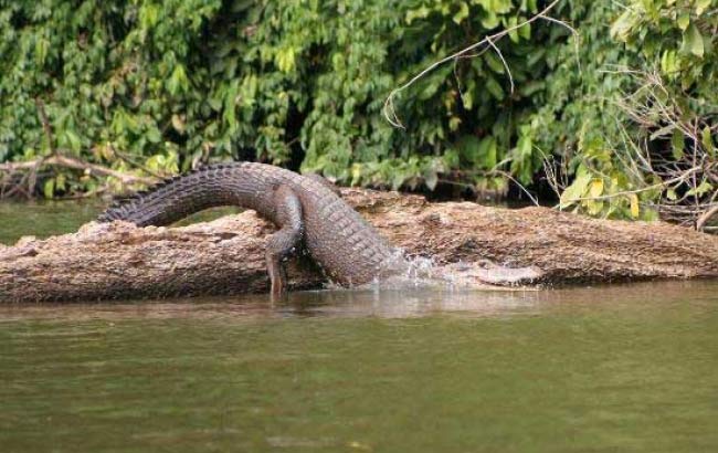 Amazonas Peru