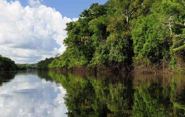 Manaus, Amazonas
