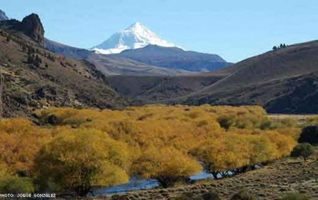 Volcán Lanín Tour