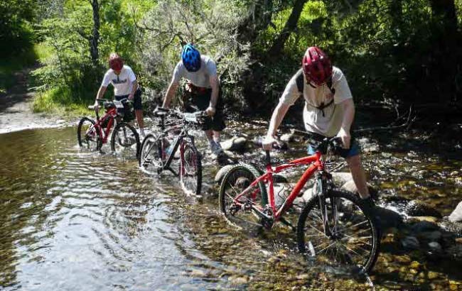 Mountain Bike