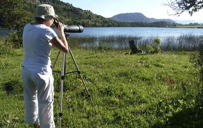 Observción de Aves