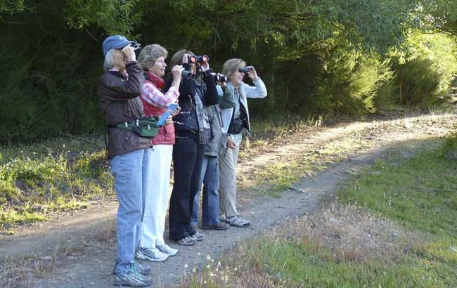 Observción de Aves