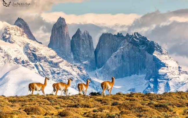 Torres del Paine Tour