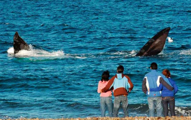 Playa el Doradillo Tour