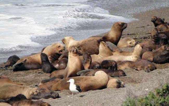 Playa el Doradillo Tour