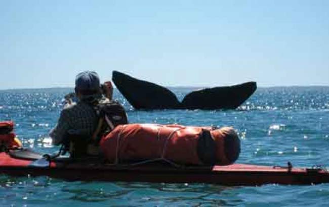 Kayak en el Mar