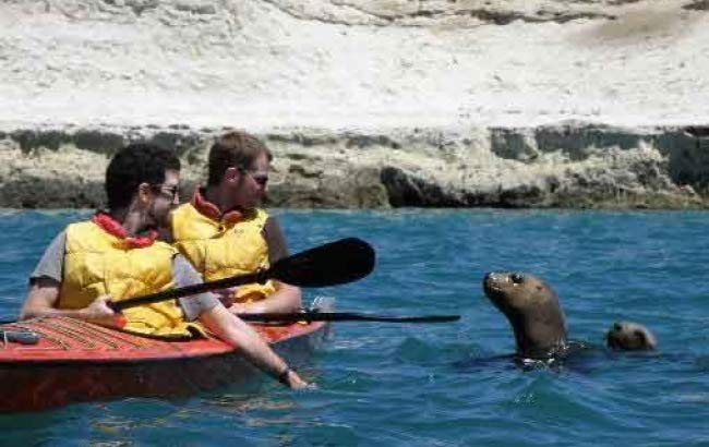 Kayak y Cabalgata