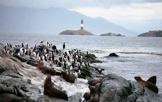 Navegacion por Canal Beagle