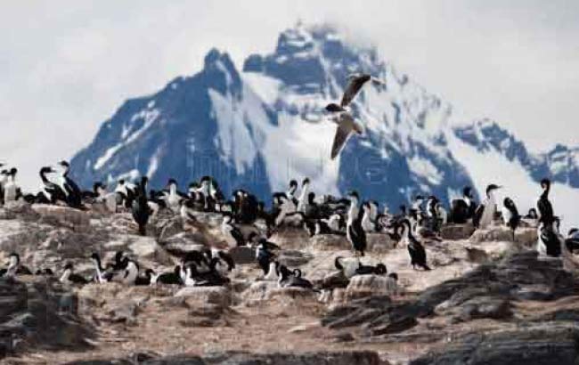 Navegacion por Canal Beagle