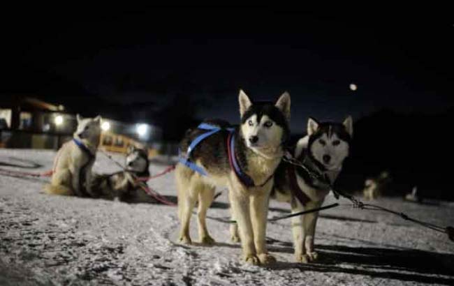 Aventura Nieve & Fuego