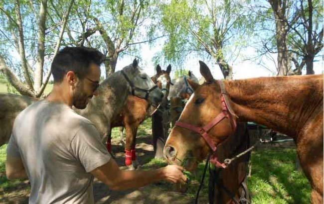 Excursión Día de Polo