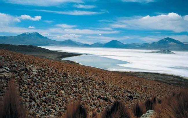 Salar de Atacama Tour