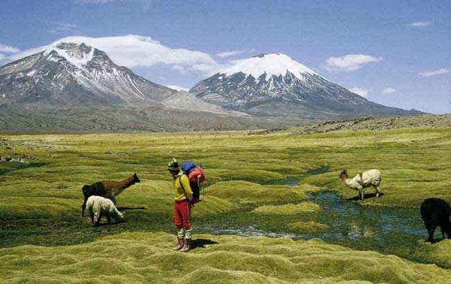 Tour Parque Nacional Lauca