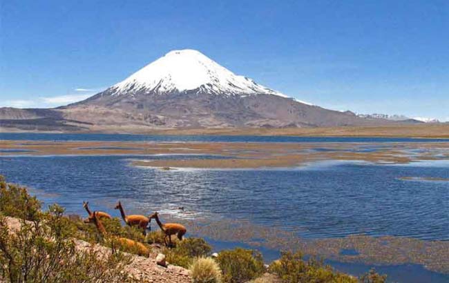 Tour Parque Nacional Lauca