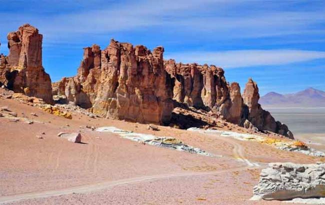 Pacana & Salar del Tara 