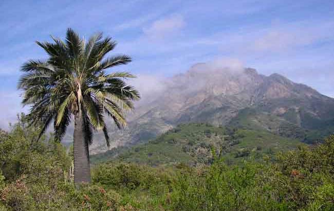 Parque Nacional La Campana 