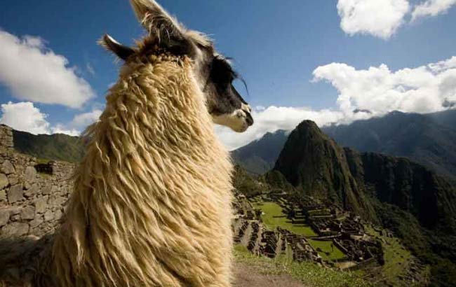 Machu Picchu - Expedition