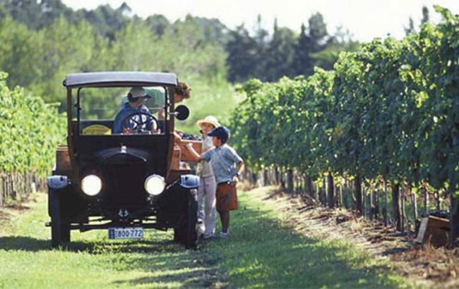 Tour del Vino