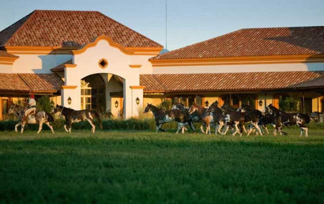 Día en Estancia