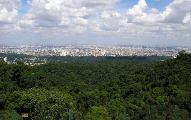 64 Fun Things to Do in São Paulo, Brazil - TourScanner