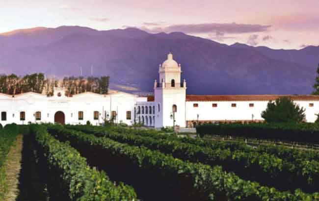 Cafayate & Wine Tour